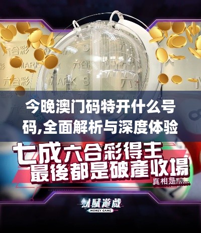 衣不重彩 第3页