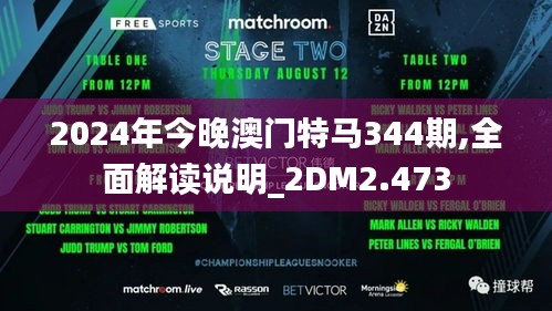 2024年今晚澳门特马344期,全面解读说明_2DM2.473