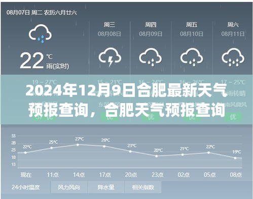2024年12月9日合肥天气预报查询指南及最新天气解读