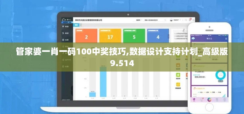 管家婆一肖一码100中奖技巧,数据设计支持计划_高级版9.514