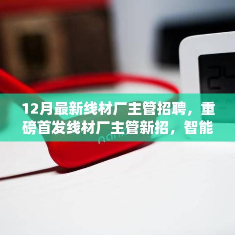 12月最新线材厂主管招聘，重磅首发线材厂主管新招，智能线材生产线——科技重塑未来，体验前所未有的高效之旅