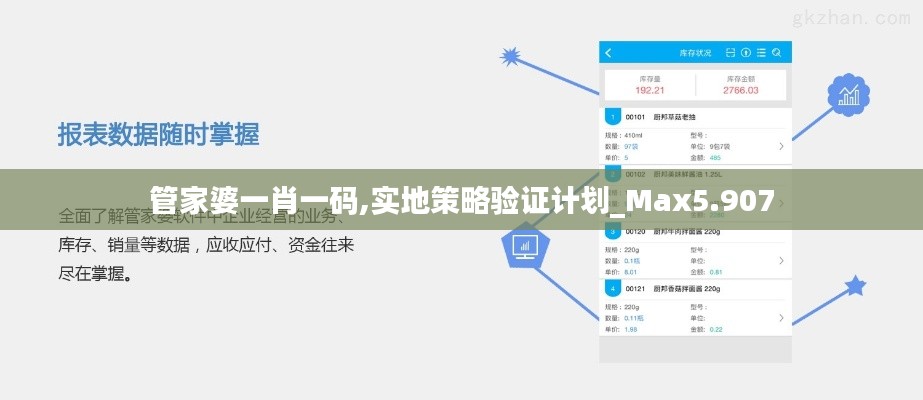 管家婆一肖一码,实地策略验证计划_Max5.907