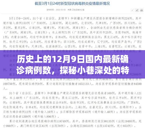 探秘十二月九日，历史确诊故事与小巷特色小店的风味之旅