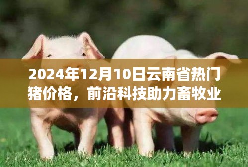 间不容发 第3页