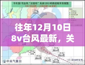 支付优惠 第232页