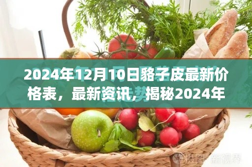 达官贵人 第3页