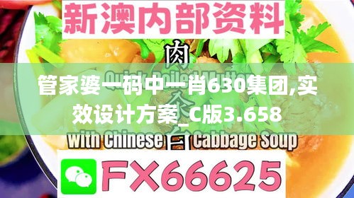 管家婆一码中一肖630集团,实效设计方案_C版3.658