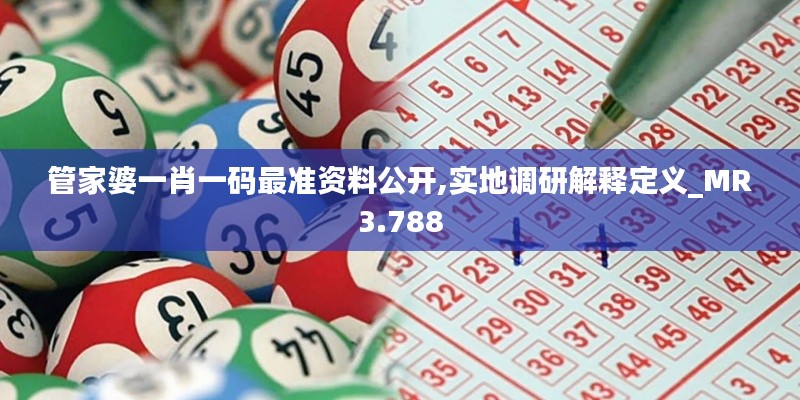 管家婆一肖一码最准资料公开,实地调研解释定义_MR3.788