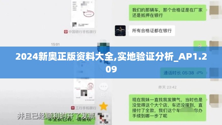 2024新奥正版资料大全,实地验证分析_AP1.209