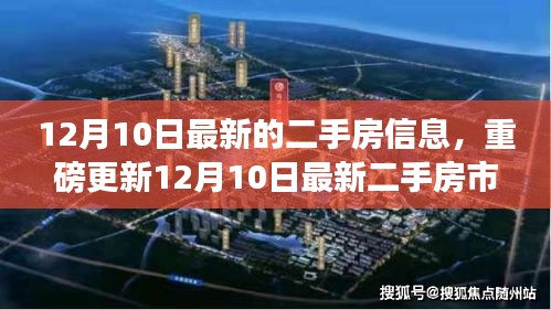 粗心大意 第3页