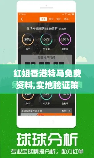 红姐香港特马免费资料,实地验证策略_旗舰款7.514