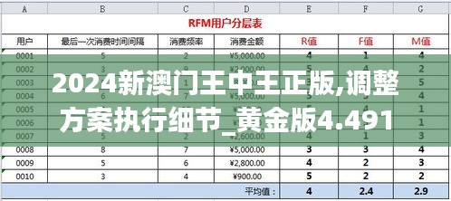 2024新澳门王中王正版,调整方案执行细节_黄金版4.491
