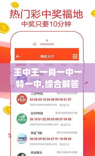 王中王一肖一中一特一中,综合解答解释定义_GT6.182