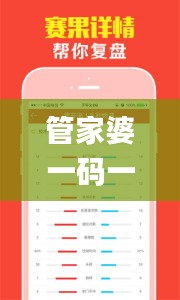 管家婆一码一肖100中奖青岛,实地策略评估数据_8K6.655