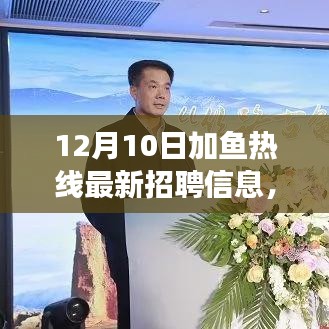 衣不兼彩 第3页