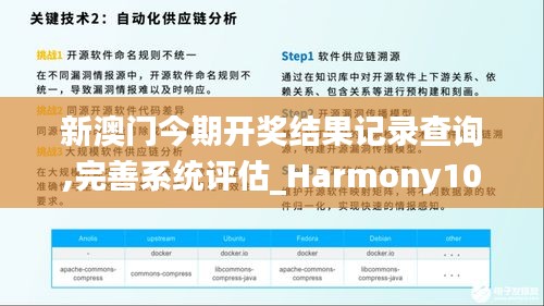 新澳门今期开奖结果记录查询,完善系统评估_Harmony10.152