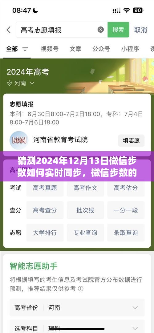 微信步数同步揭秘，友情与陪伴的温馨故事，预测微信步数同步之旅到2024年12月13日