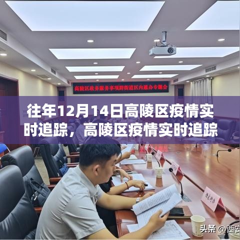 高陵区疫情实时追踪，科技守护下的未来防线
