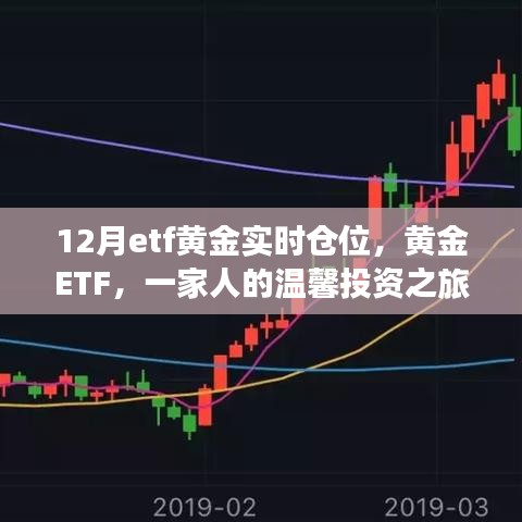 黄金ETF，家庭投资之旅与情感纽带的实时仓位追踪