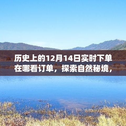第1327页