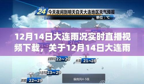 择善而从 第3页