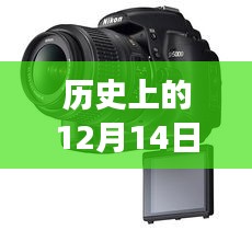 尼康相机实时预览功能设置探讨，历史上的12月14日尼康相机实时预览功能设置详解