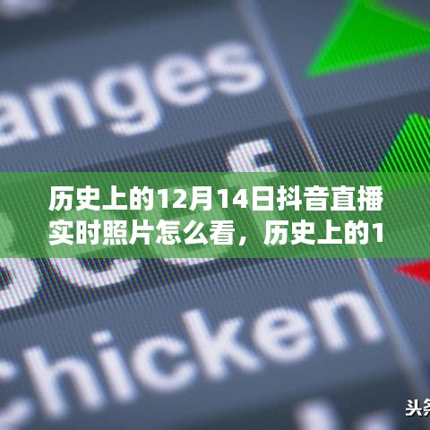 历史上的12月14日抖音直播实时照片回顾与评测，全面解读与介绍