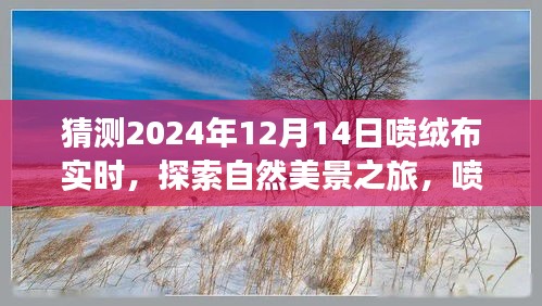 探索未知美景之旅，喷绒布背后的宁静与勇气，展望未来的自然之旅（2024年12月14日）