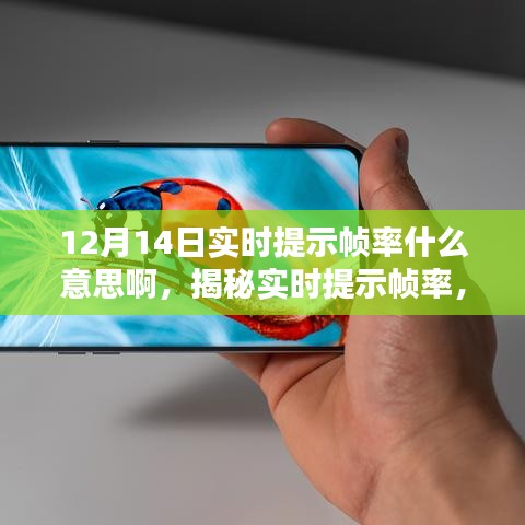 揭秘实时提示帧率，定义、功能及其在特定日期的意义（以12月14日为例）