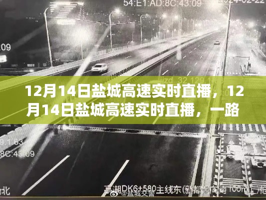 盐城高速实时直播，一路畅行尽在掌握