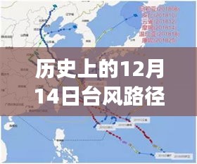 走马章台 第3页