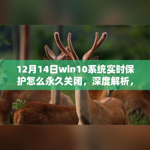 空前绝后 第3页