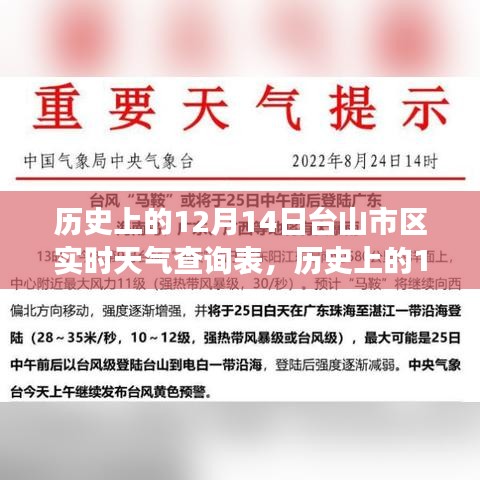 历史上的12月14日台山市区实时天气查询表深度解析，特性、体验与竞品对比