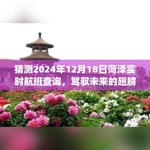 驾驭未来的翅膀，揭秘菏泽航班查询的启示与变化，自信翱翔于未来时空的航班预测