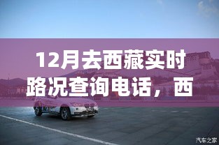 虫蚀鸟步 第3页