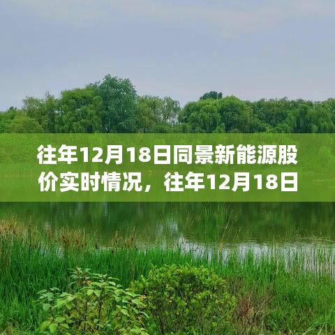 往年12月18日同景新能源股价实时洞察，探寻市场波动背后的故事与实时洞察。