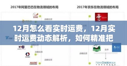 12月物流运费动态解析，实时运费查询与物流费用走势精准把握指南