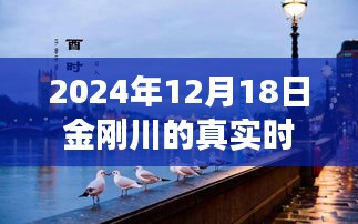 金刚川时光之旅，体验未来科技，见证时空穿梭的魅力