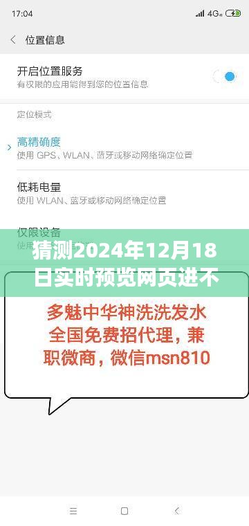 解决2024年12月18日实时预览网页进不去问题，初学者与进阶用户的分步指南