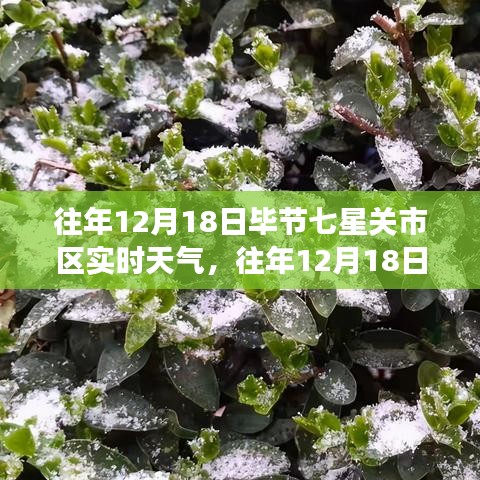 往年12月18日毕节七星关市区实时天气概览与多维度解读