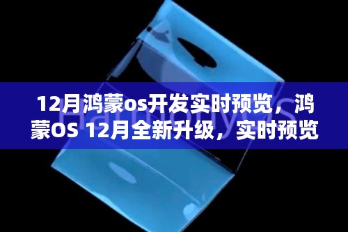 鸿蒙OS 12月全新升级，实时预览体验科技魅力的鸿蒙世界