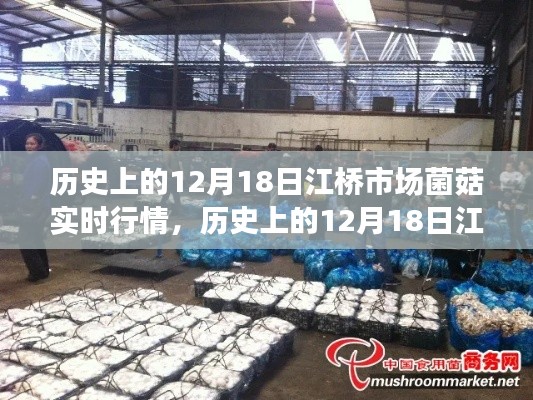历史上的12月18日江桥市场菌菇实时行情概览与行情分析