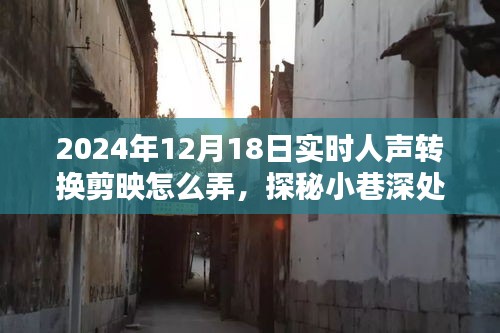 探秘剪映魔法屋，人声转换技巧揭秘与小巷深处的剪映之旅