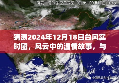 台风风云中的温情故事，与台风共舞的日子（实时圈预测）