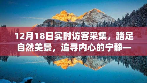 12月18日实时访客之旅，探寻自然美景，追寻内心宁静