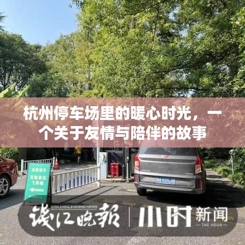 杭州停车场里的暖心时光，友情与陪伴的温馨故事