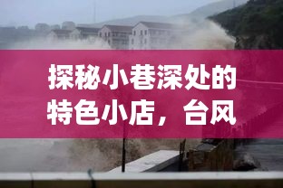 小巷深处的特色小店与台风安比下的风暴监控之旅
