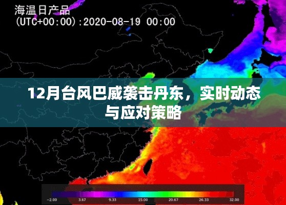 鸟惊鼠窜 第4页