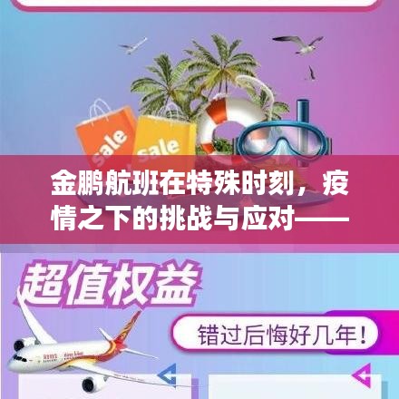 金鹏航班特殊时刻疫情之下的挑战与应对策略——以XXXX年12月22日为例的案例分析