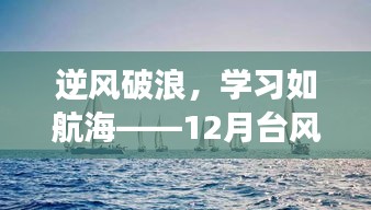 第1181页